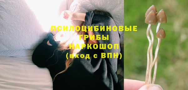 трава Абинск