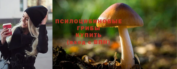 трава Абинск