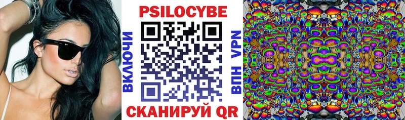 цены наркотик  Пучеж  darknet состав  Псилоцибиновые грибы Psilocybine cubensis 
